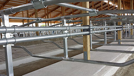 Freudenthal Elevated Dual Rail Suspended Freestalls