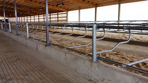 Freudenthal Elevated Dual Rail Suspended Freestalls