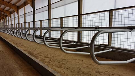 Freudenthal Elevated Dual Rail Suspended Freestalls