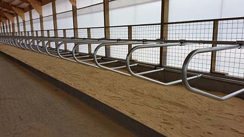Freudenthal Elevated Dual Rail Suspended Freestalls